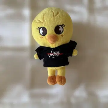 StrayKids SKZOO BbokAri 필릭스 Felix