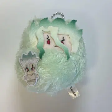 Dr.STONE 센쿠 타이피누이