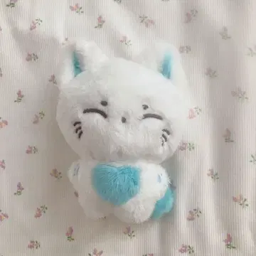 enhypen 선우 봉제 인형