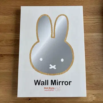 스튜디오 클립 미피 거울