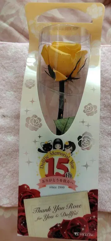 보크스 돌피 메모리얼 15주년 기념품
