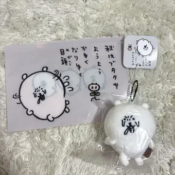 미개봉 새상품 나가노 캐릭터즈 꽃가루 마스코트(돼지풀) A5 클리어 파일