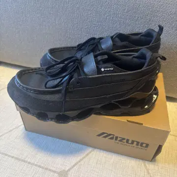 미즈노 웨이브 프로페시 목스 GTX 27.0cm
