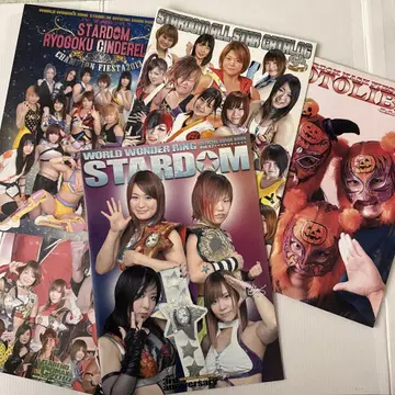 스타덤 팜플렛 세트 (KAIRI SANE IYO SKY WWE)