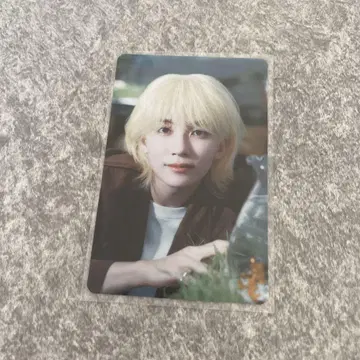 SEVENTEEN 소비기한 정한 트레이딩 카드