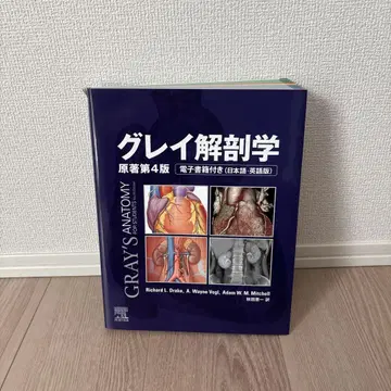 그레이 해부학 제4판