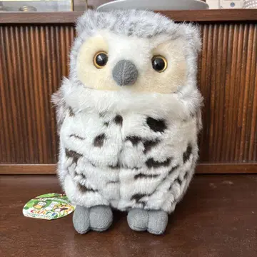 올빼미 봉제 인형 CUTE 교토 수족관