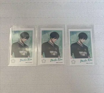 이토시 린 에고이스트 페스티벌 사진풍 카드