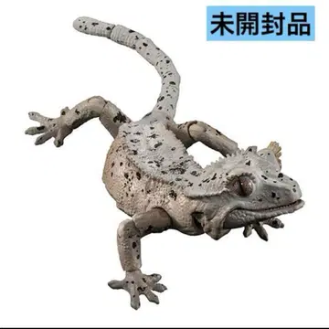 생물대도감 어드밴스 크레스티드 게코 가챠 달마시안