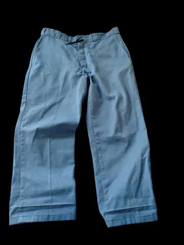 단종 컬러 Dickies 874 워크 팬츠 라이트 블루
