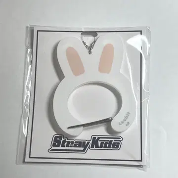 straykids 스키즈 리노 카라비너 리비트 팝업