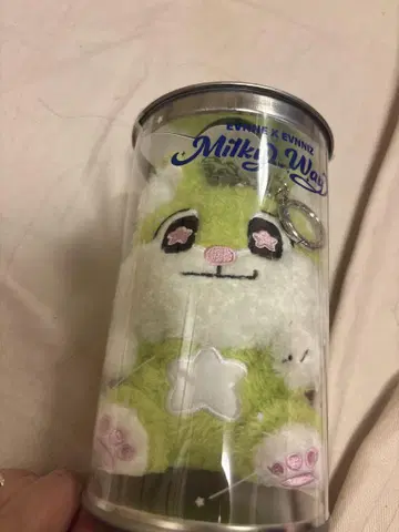 evnne 이브니즈 evnniz 정이 봉제 인형 키링