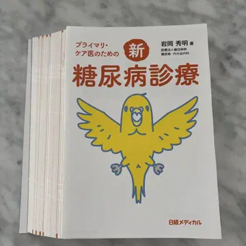 신 당뇨병 진료 이와오카 히데아키 저