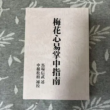 매화심역 장중지남