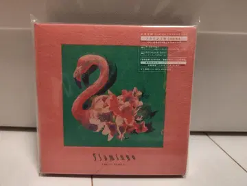 플라밍고반 (최초 한정) CD + 덤 DVD + 스마트폰 링