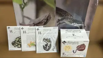 1번 제일복권 파충류&양서류 6종 세트