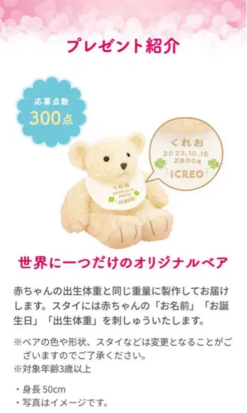 아이클레오 오리지널 베어 봉제 인형