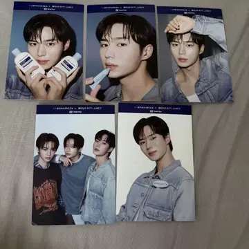 브링그린 BRINGGREEN 보플 김준서 엽서