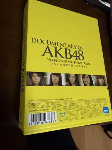 DOCUMENTARY OF AKB48 NO FLOWER WITHOUT