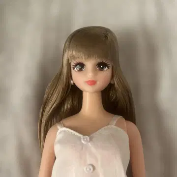 리카짱 캐슬 제니 프렌드 제시카 월간 인형