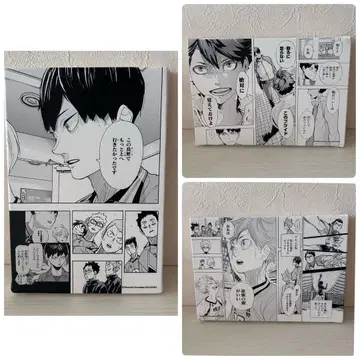 하이큐 명장면 아트 보드 히나타 쇼요 카게야마 토비오 오이카와 토오루