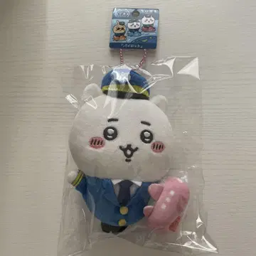 치이카와 공항 한정 파이롯트