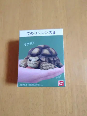 손바닥 프렌즈