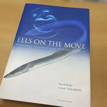 EELS ON THE MOVE 장어의 생태