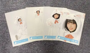히나타자카46 오노 마나미 동물 인형옷 컴프