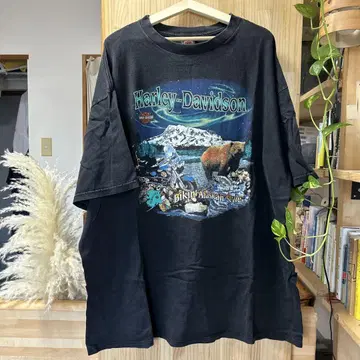 Harley-Davidson 할리데이비슨 반팔 티셔츠 블랙 구제 의류