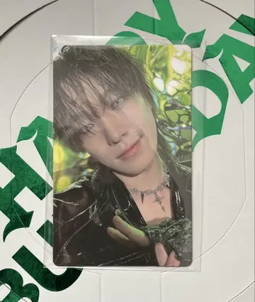 SEVENTEEN 세븐틴 세부치 라키도 로 트레이딩 카드 디노