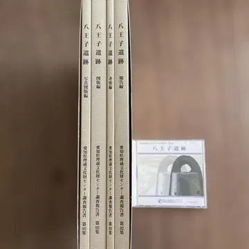 팔왕자 유적 조사 보고서 CD 포함