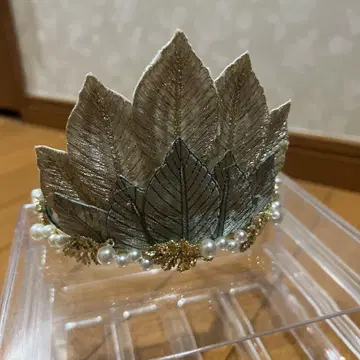 티아나 티아라 엔젤 시크릿