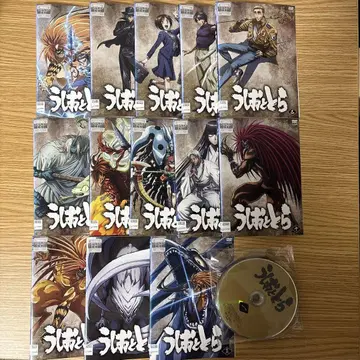 DVD 우시오와 토라 전 13권 세트 24830