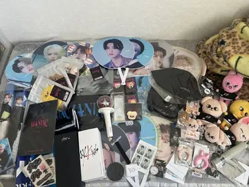 straykids 굿즈 세트