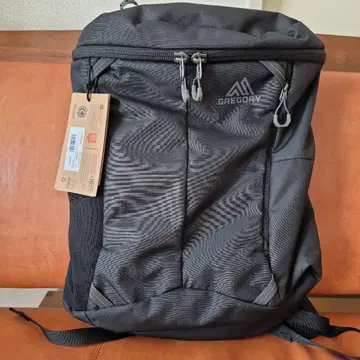 GREGORY RHUNE 25 카본 블랙