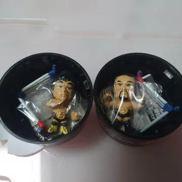 IWGP 역대 챔피온 피규어 2체 세트