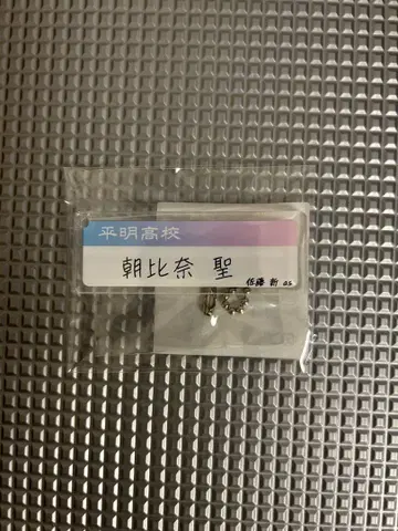청춘 게슈탈트 붕괴 아사히나 히지리 네임 키링