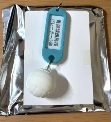 하이큐 트레이딩 고등학교 이름표기 열쇠 참 키링 아오바죠사이