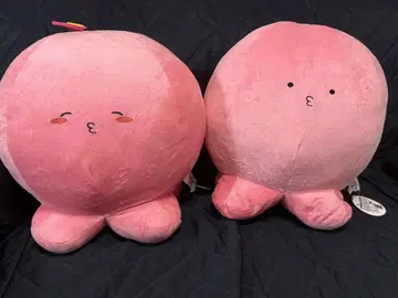 타코피의 원죄 타코피 BIG 봉제 인형 2개 세트