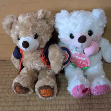 지역 한정 베어 오기노야 후쿠시마 피치