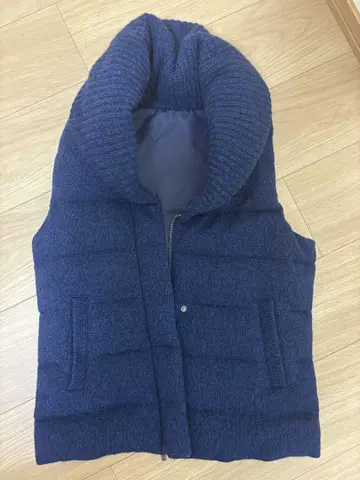 라코스테 다운 베스트 36 [ used ]