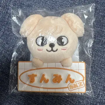오늘 발송 가능 승민 PuppyM 명찰