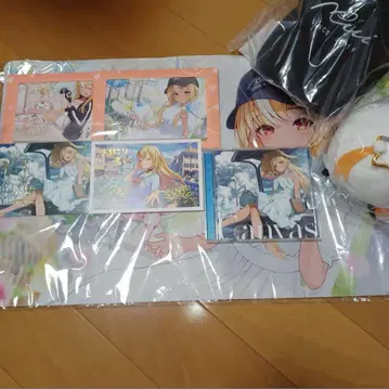 시라누이 플레어 생일
