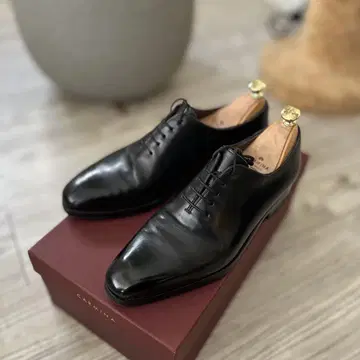 CARMINA RAIN 7 홀컷