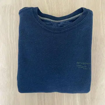 Patagonia 맨투맨 37564 클린 클라임 배지 업라이저