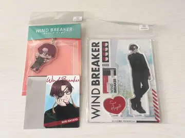 WIND BREAKER 윈브레 안경 아크릴 스탠드