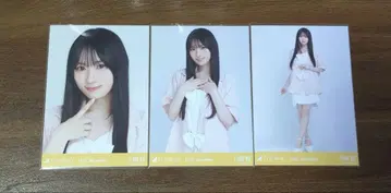 노기자카46 카와사키 사쿠라 전국 투어 2025 썸머 자켓
