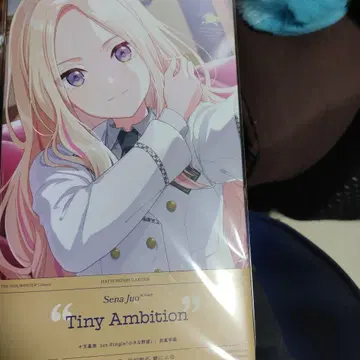 Sena Juo Tiny Ambition 싱글 CD