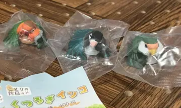 새의 휴일 편안한 잉꼬 3종 세트